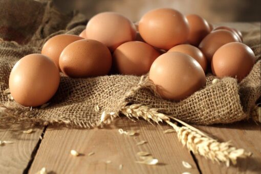 Rhode Island Red eggs